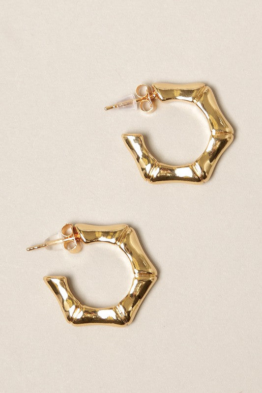 14K Gold Dipped Hexagon Hoop Earrings