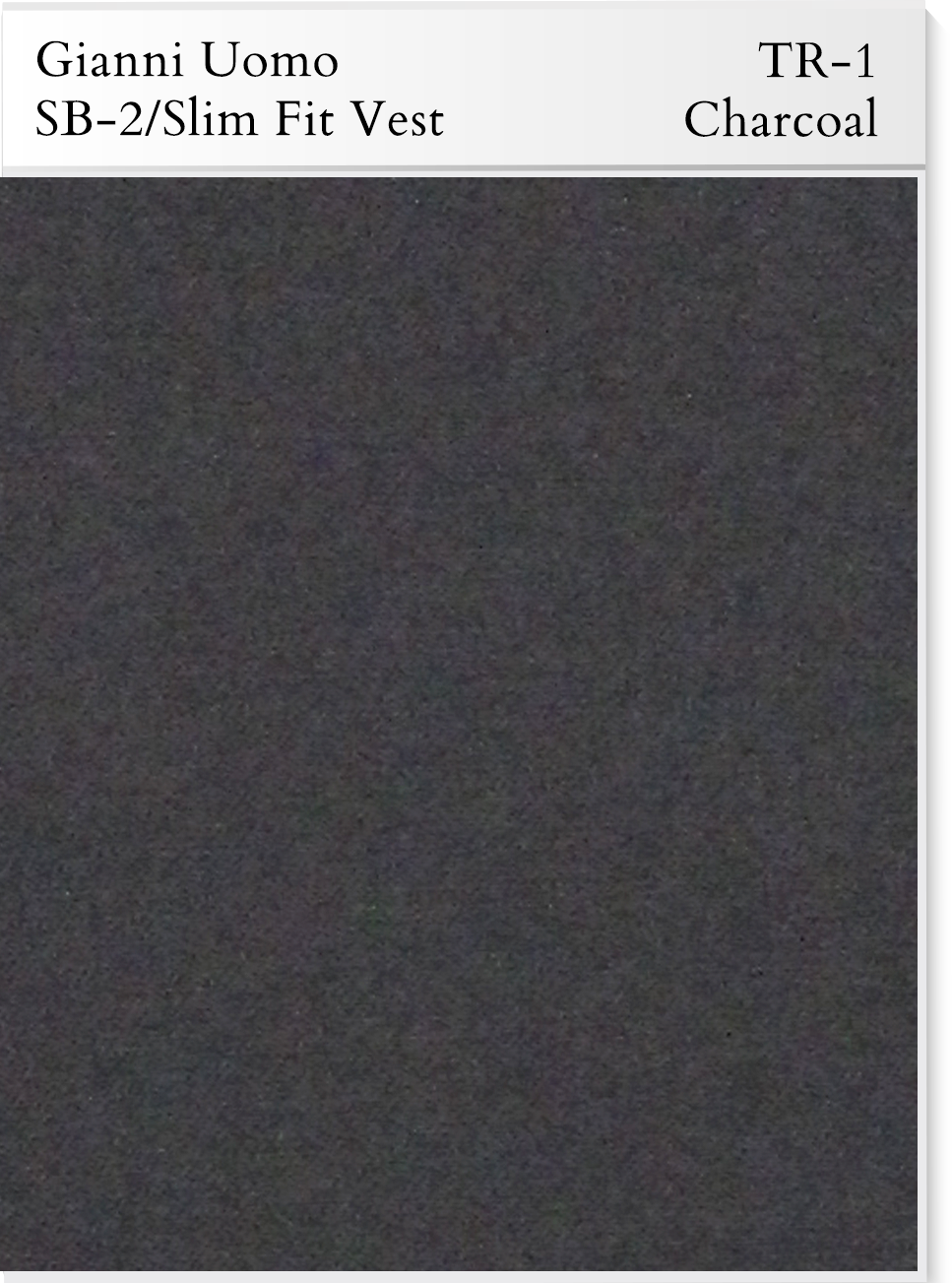 Gianni 4030 Charcoal - Modern 3 Piece Suit
