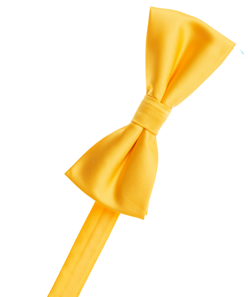 M. Gold Bow Tie