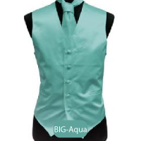 Big-Aqua Mens Solid Vest