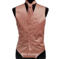 Big-Dusty Mens Solid Vest
