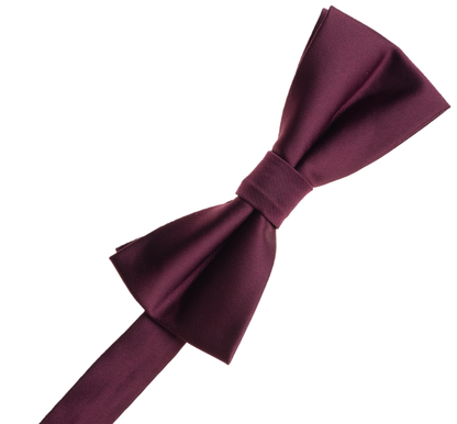 Fuschia Bow Tie