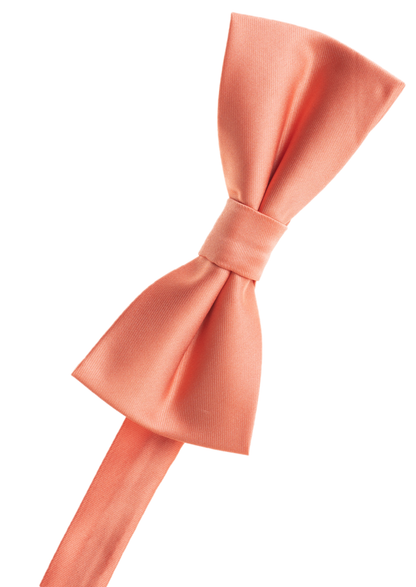Deep Purple Bow Tie