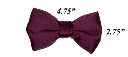 Modern Solid Bow Ties - EggPlant