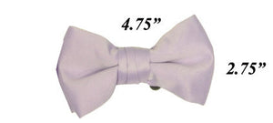 Modern Solid Bow Ties - Lavender