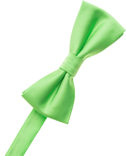 Brown Bow Tie