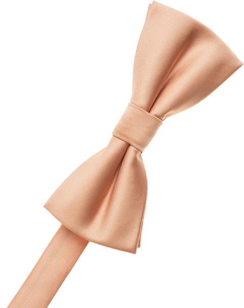 Dusty Rose Bow Tie