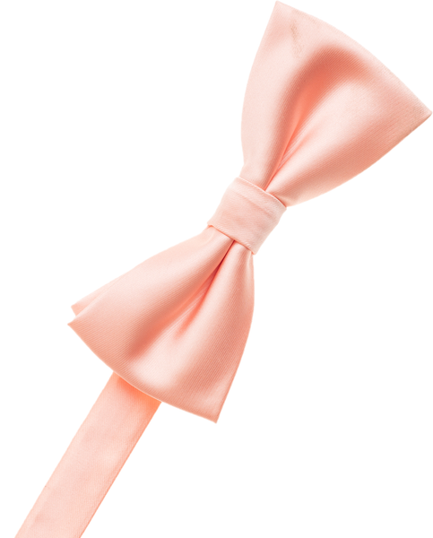 Dusty Rose Bow Tie