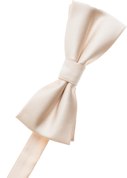 Bronze Bow Tie