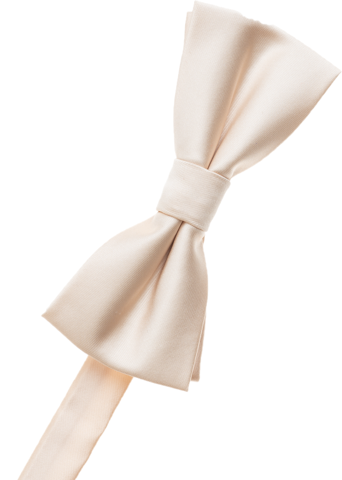 Wine Bow Tie