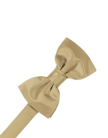 Persimmon Luxury Satin Bow Ties