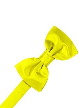 Watermelon Luxury Satin Bow Ties