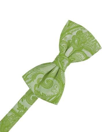 Watermelon Tapestry Bow Tie