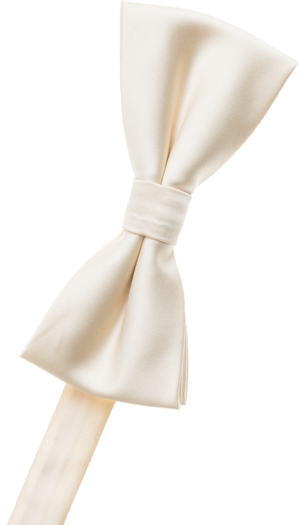 Wine Bow Tie