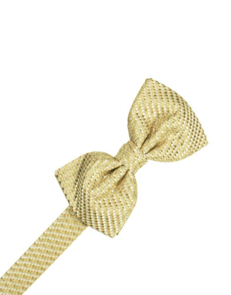 Champagne Venetian Pin Dot Bow Tie