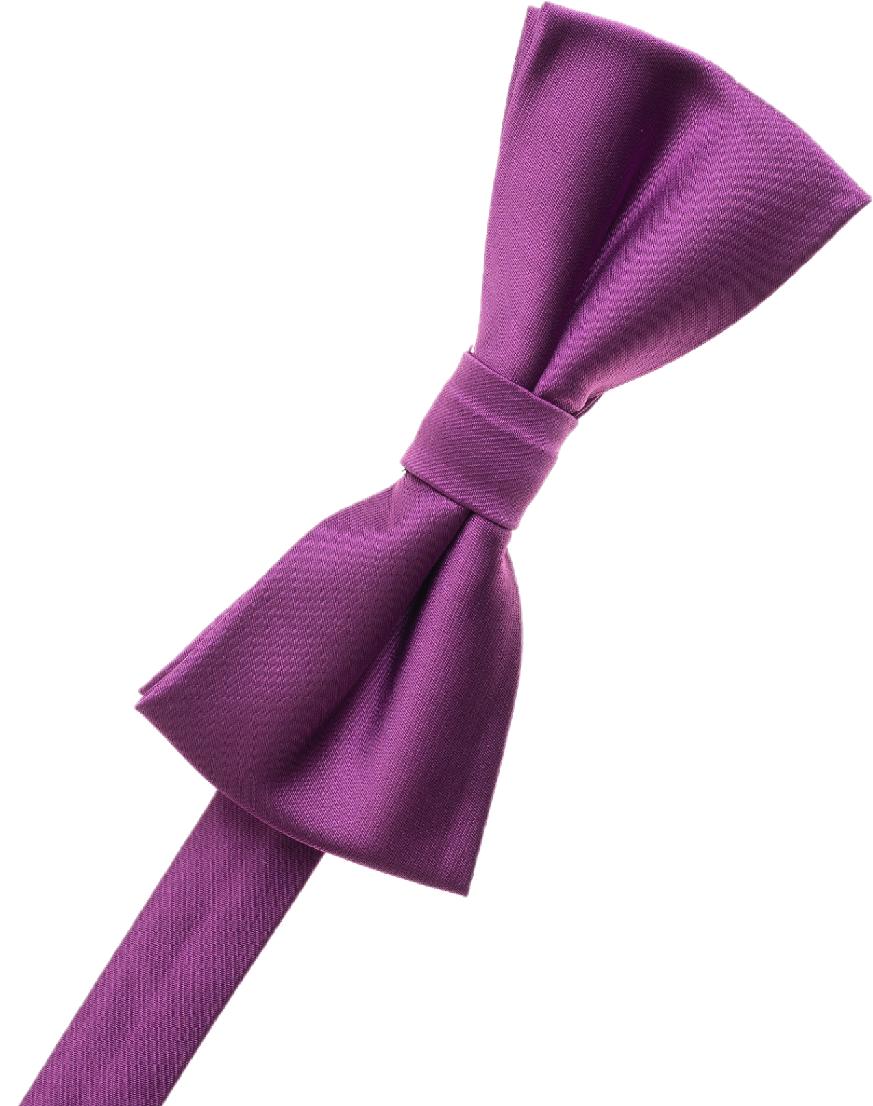 Cobalt Blue Bow Tie