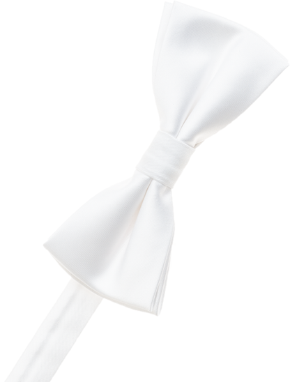 Brown Bow Tie