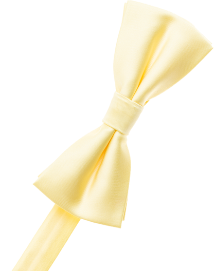 Salmon Bow Tie
