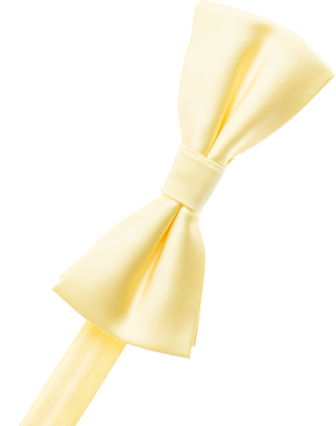 Shell Bow Tie